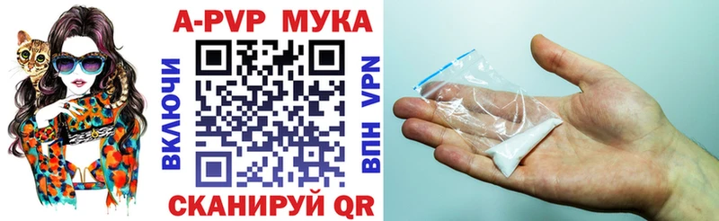 даркнет сайт  Иланский  A PVP СК 