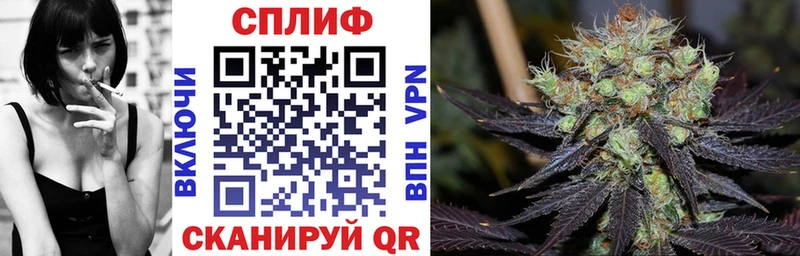 Шишки марихуана гибрид Иланский
